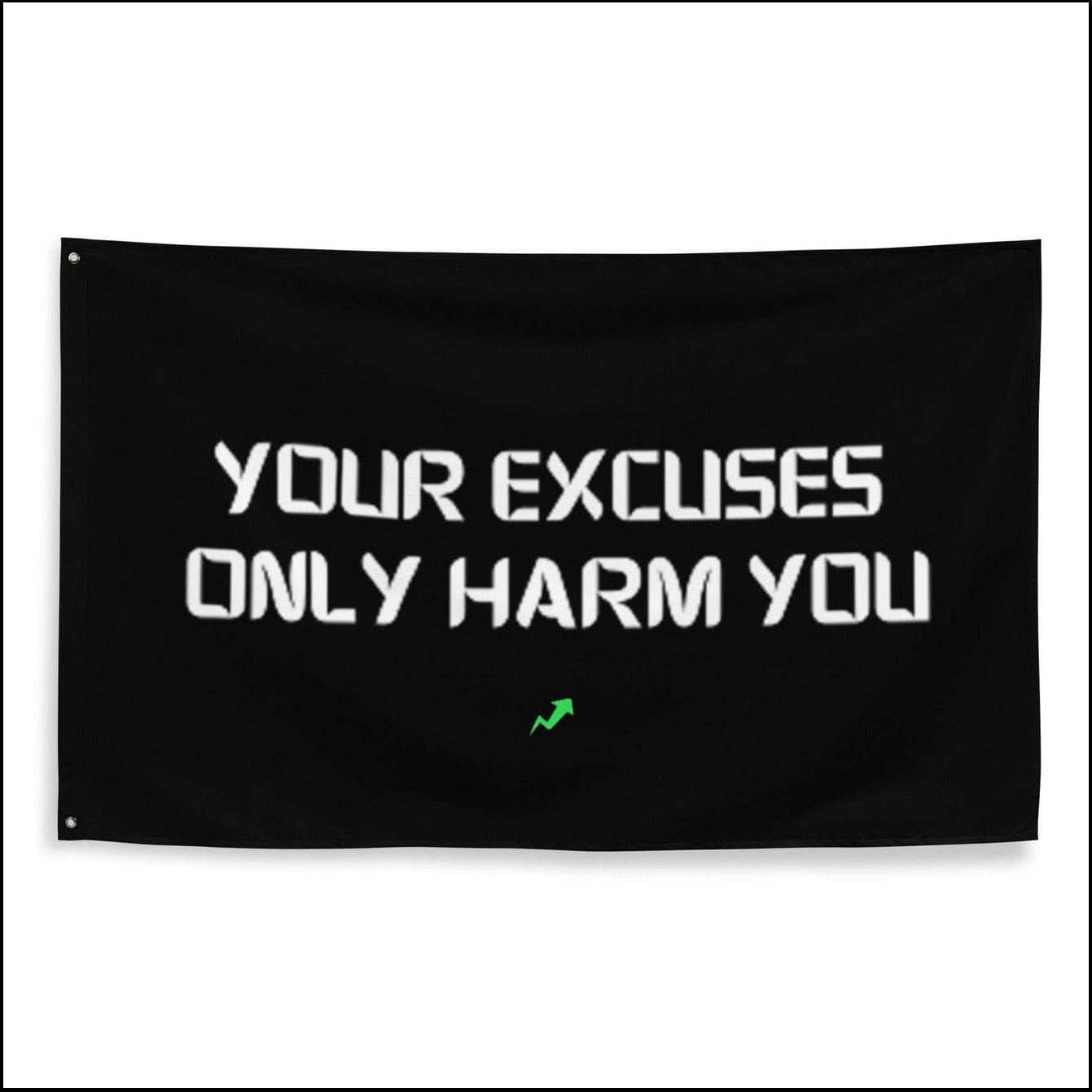 YOUR EXCUSES ONLY HARM YOU - Flag