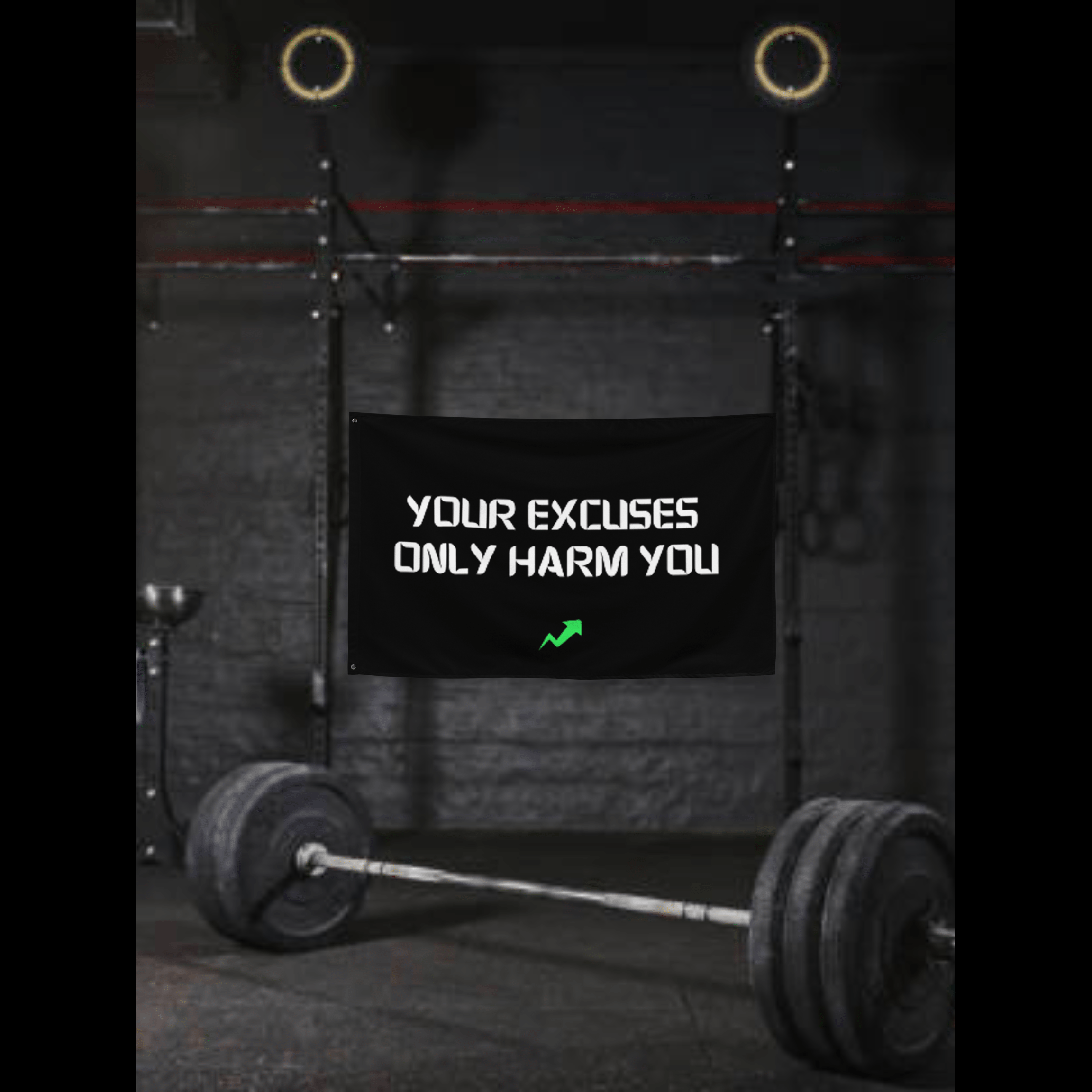 YOUR EXCUSES ONLY HARM YOU - Flag